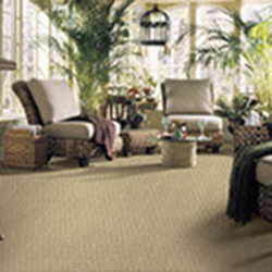 Laminate and Carpet